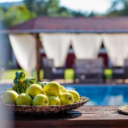 Elea Вилла Литакия